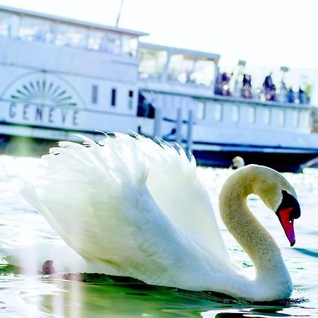 Hotel Strasbourg Genewa Zewnętrze zdjęcie